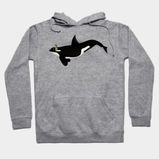 Killer Whale Wearing Headphones Hoodie